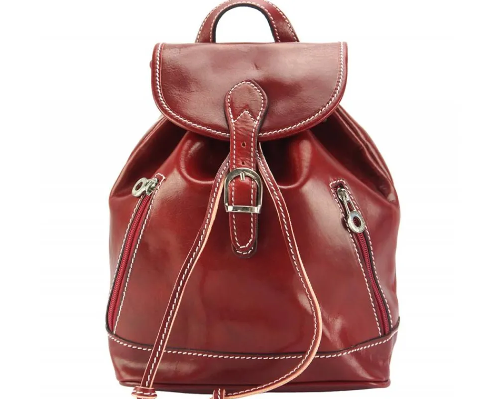 Luminosa Leather Backpack purse*Florence Fashion